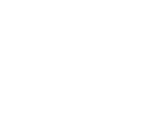f-shape2